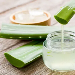Aloe vera