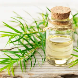 Essential Oils